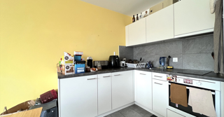  Appartement à louer 1 pièce 27 m²