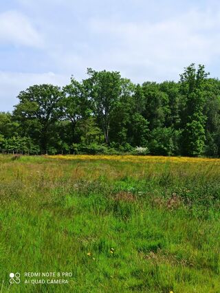  Terrain  vendre 1181 m