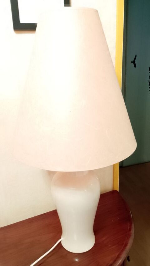 Abat jour 25 Meylan (38)