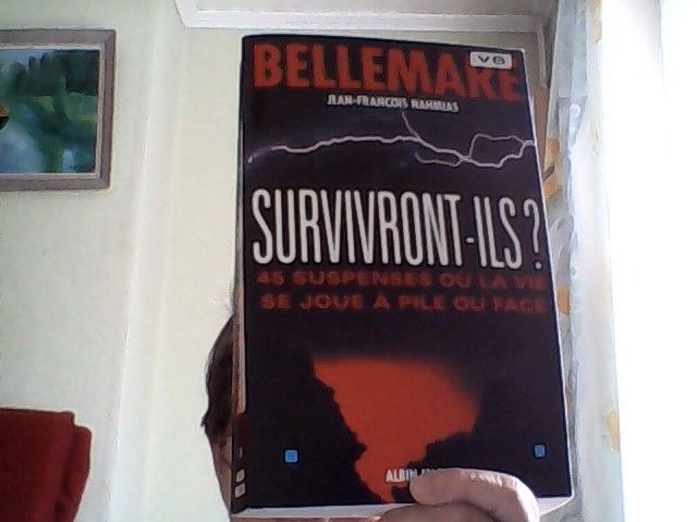 10 gros livres, &eacute;tat neuf ,de P. Bellemare
6 livres de
S
Livres et BD