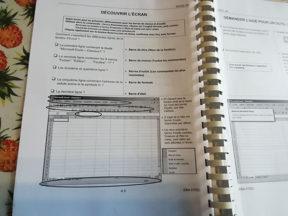 Cahier initiation EXEL XP stage FITEC Matériel informatique