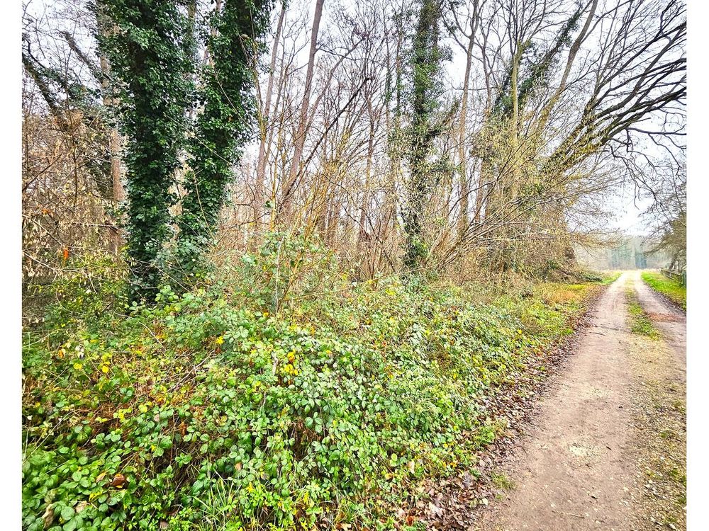 Vente Terrain Terrain Saint-georges-motel