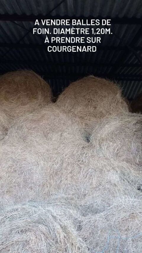 Foin
15 72320 Courgenard