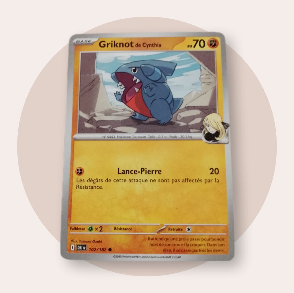 Lot de 12 cartes Pok&eacute;mon 2025 voir photos 