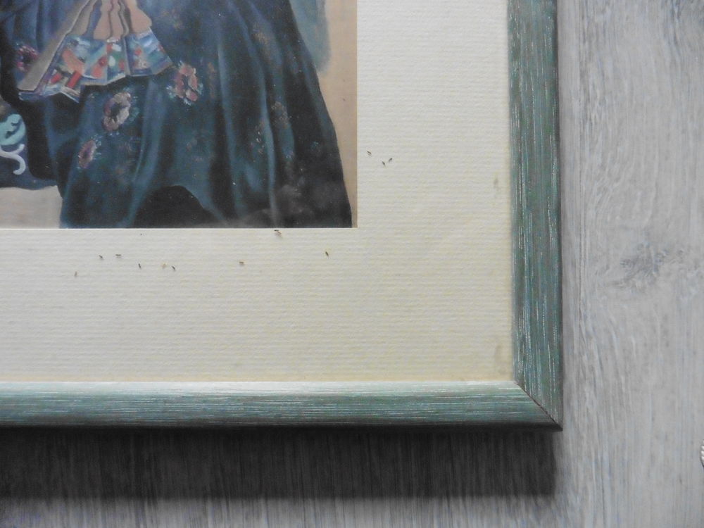Tableau fille &agrave; l'&eacute;ventail Décoration