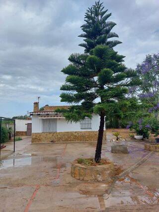 Location  Maison - Villa 