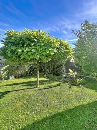  Maison à vendre 6 pièces 175 m²