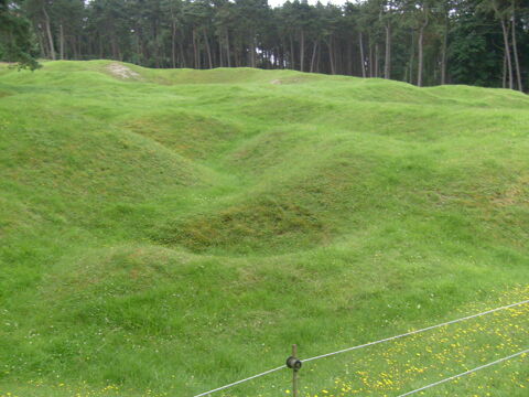 Bois de chauffage 50 Decazeville (12)