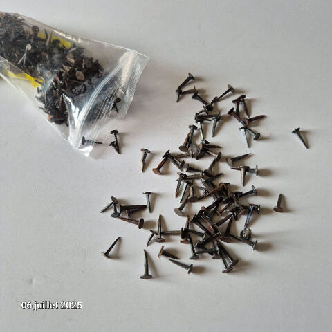 Semence pique tapissiers vendu en sachet de 230gr - disponib 4 Saumur (49)