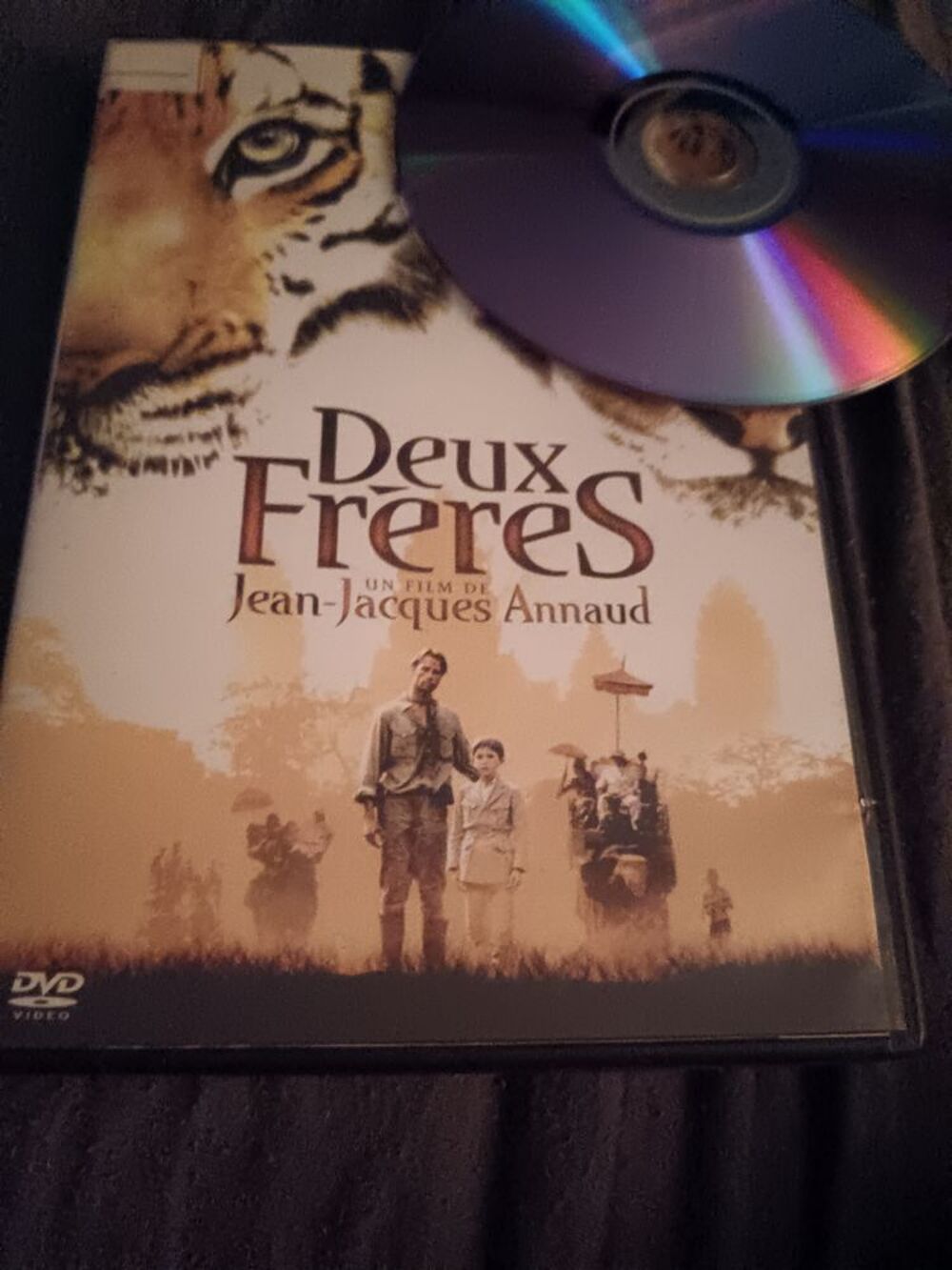 dvd film cause d&eacute;c&egrave;s pour la famille DVD et blu-ray