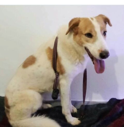 GEMA 300 27620 Gasny