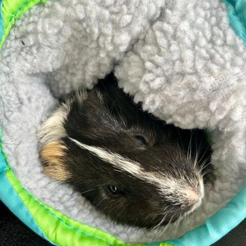 KARADOC ET ARTHUR 60 07000 Ajoux