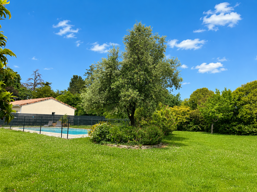 Vente Terrain Terrain 725 m2 constructible - 31600 Seysses - Seysses