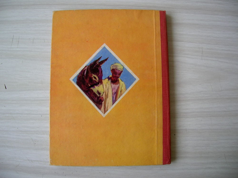 AUX PORTES DE L'AFRIQUE MIKE ET MICHOU - Marguerite SY Livres et BD
