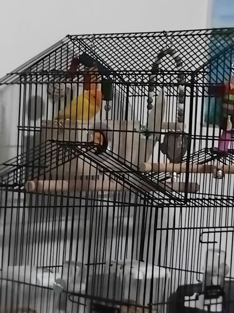 Couple inseparable 0 55270 Varennes-en-argonne