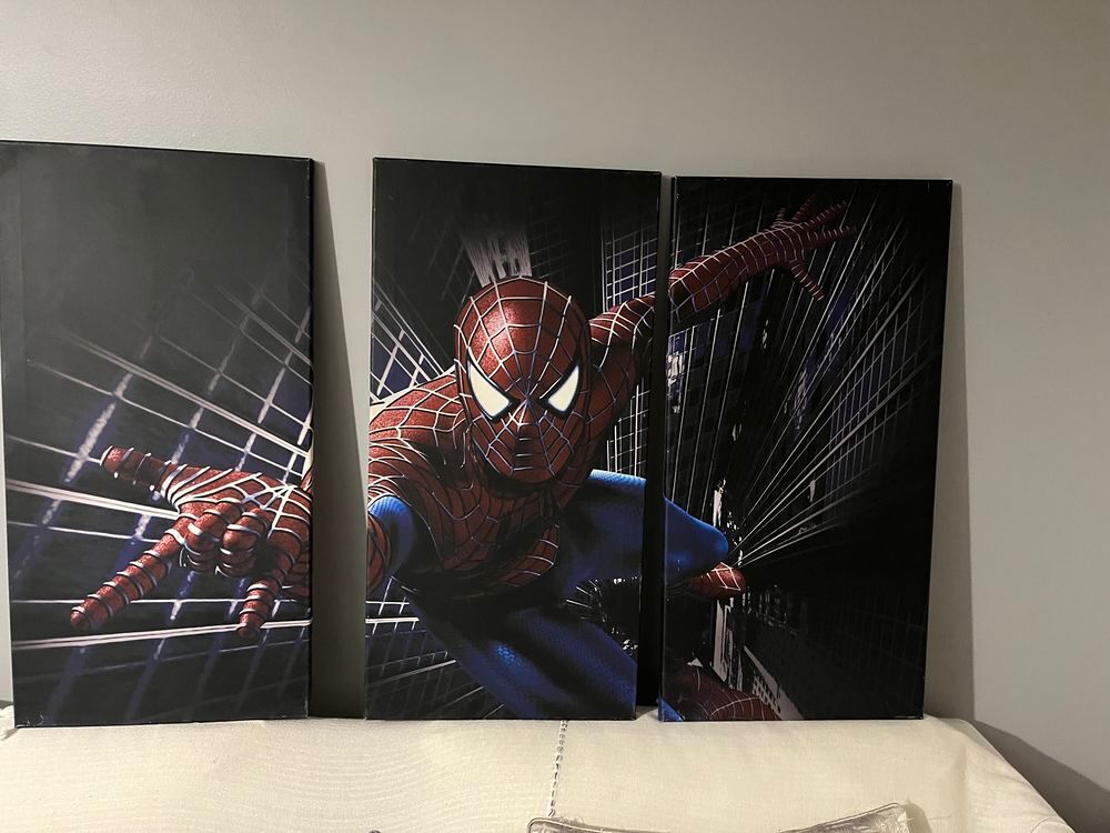 Cadre en toile en 3 pi&egrave;ces Spiderman Décoration