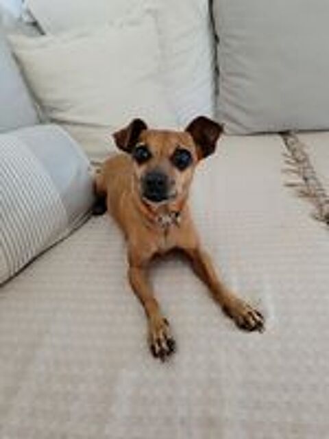   Roxy la mini coquine  