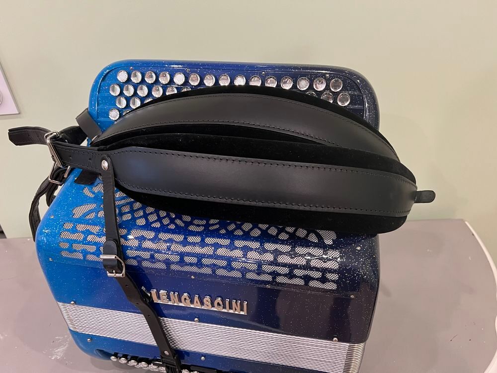 Acoordeon Mengascini F20 &eacute;quip&eacute; midi main gauche 3D41 Instruments de musique