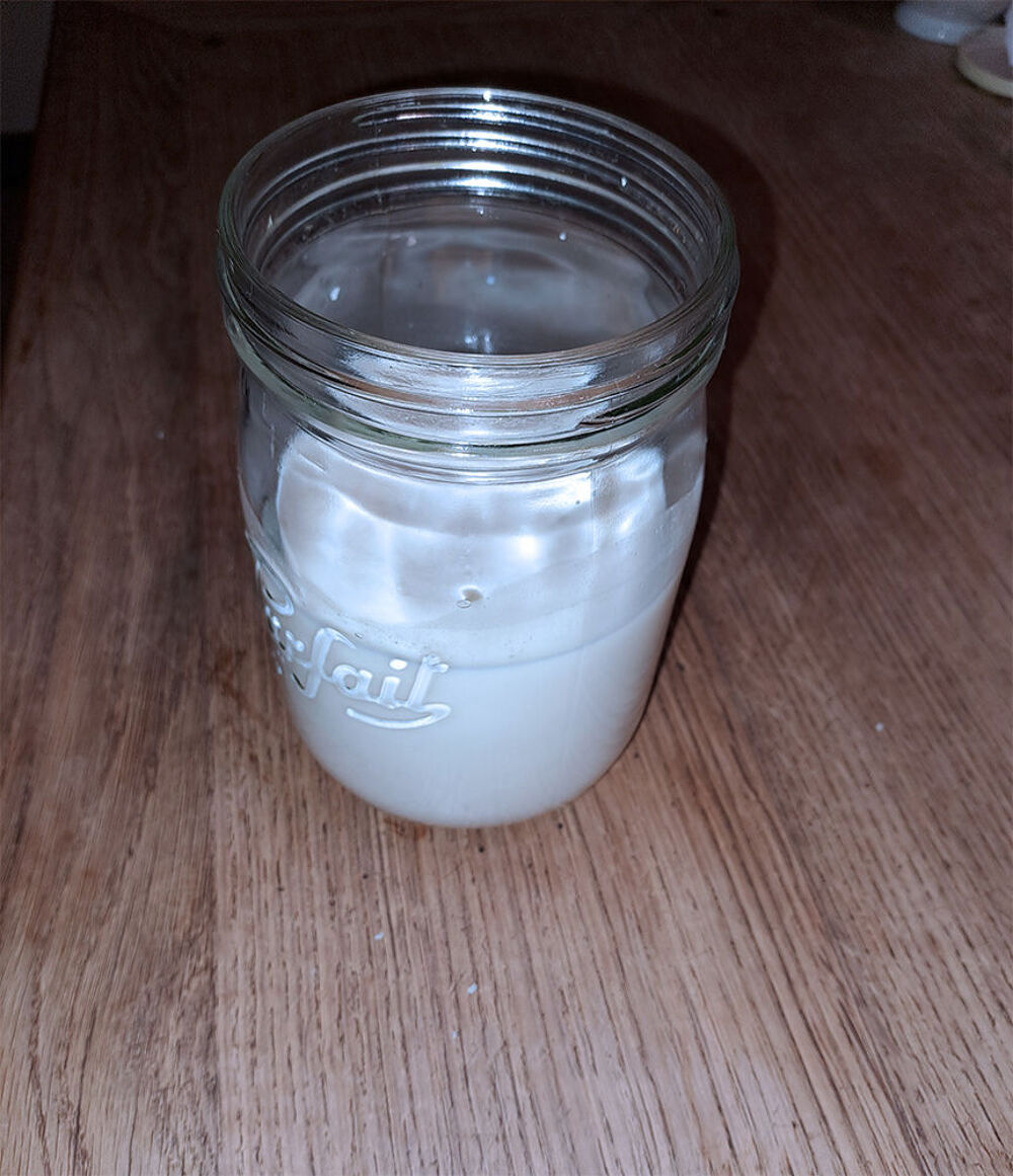 Grains de Kefir de lait Bio
Cuisine