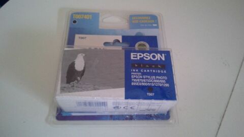 EPSON T007 8 Fleigneux (08)