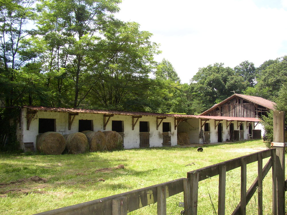   Écurie 