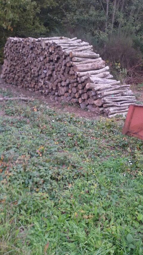 bois  de chauffage 55 Montargis (45)