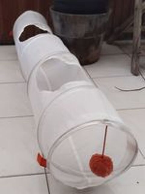   Tunnel pour amuser les chats 
