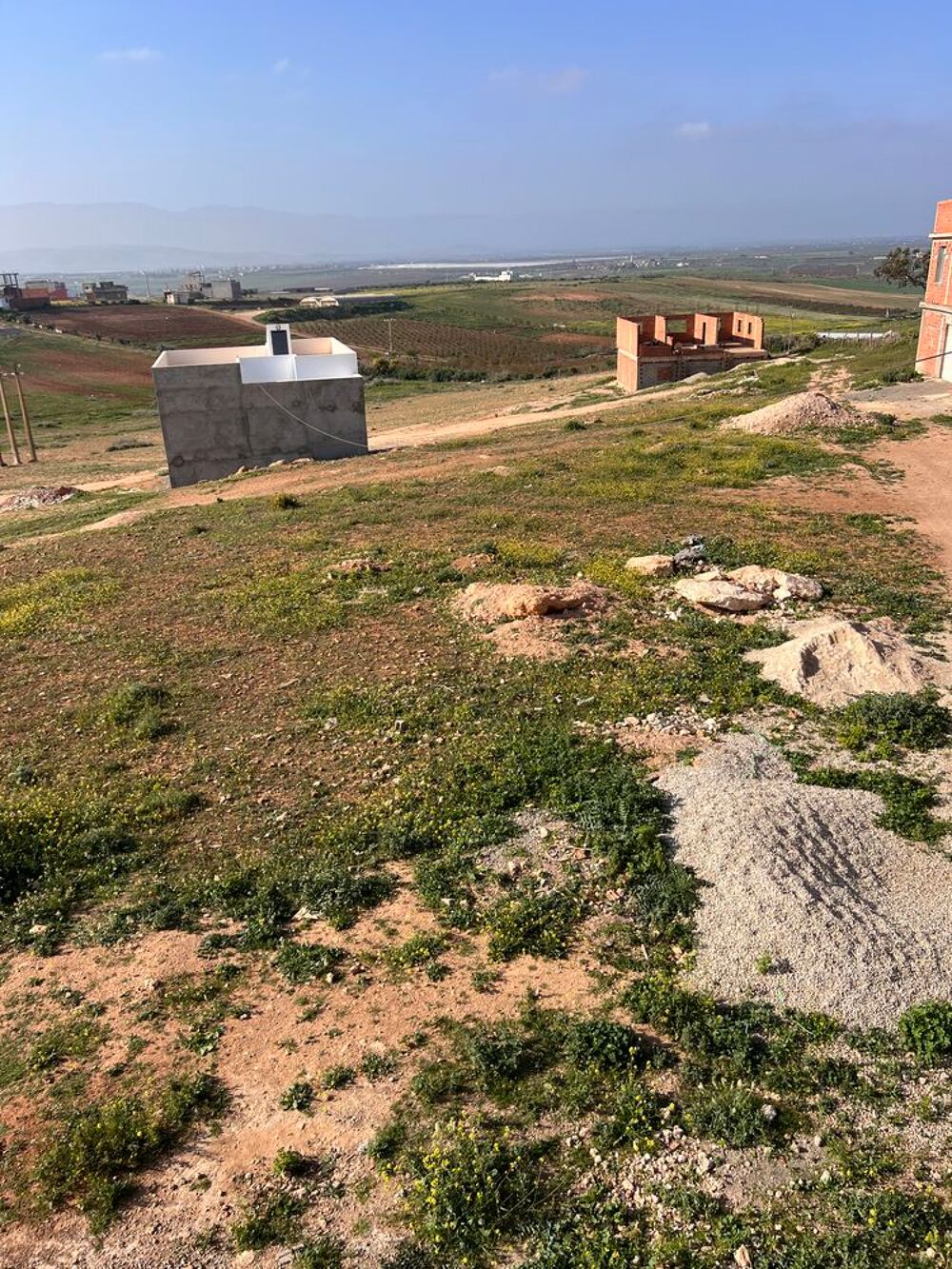 Vente Terrain terrain a construire Marsa ben m'hidi, algérie (Algerie)