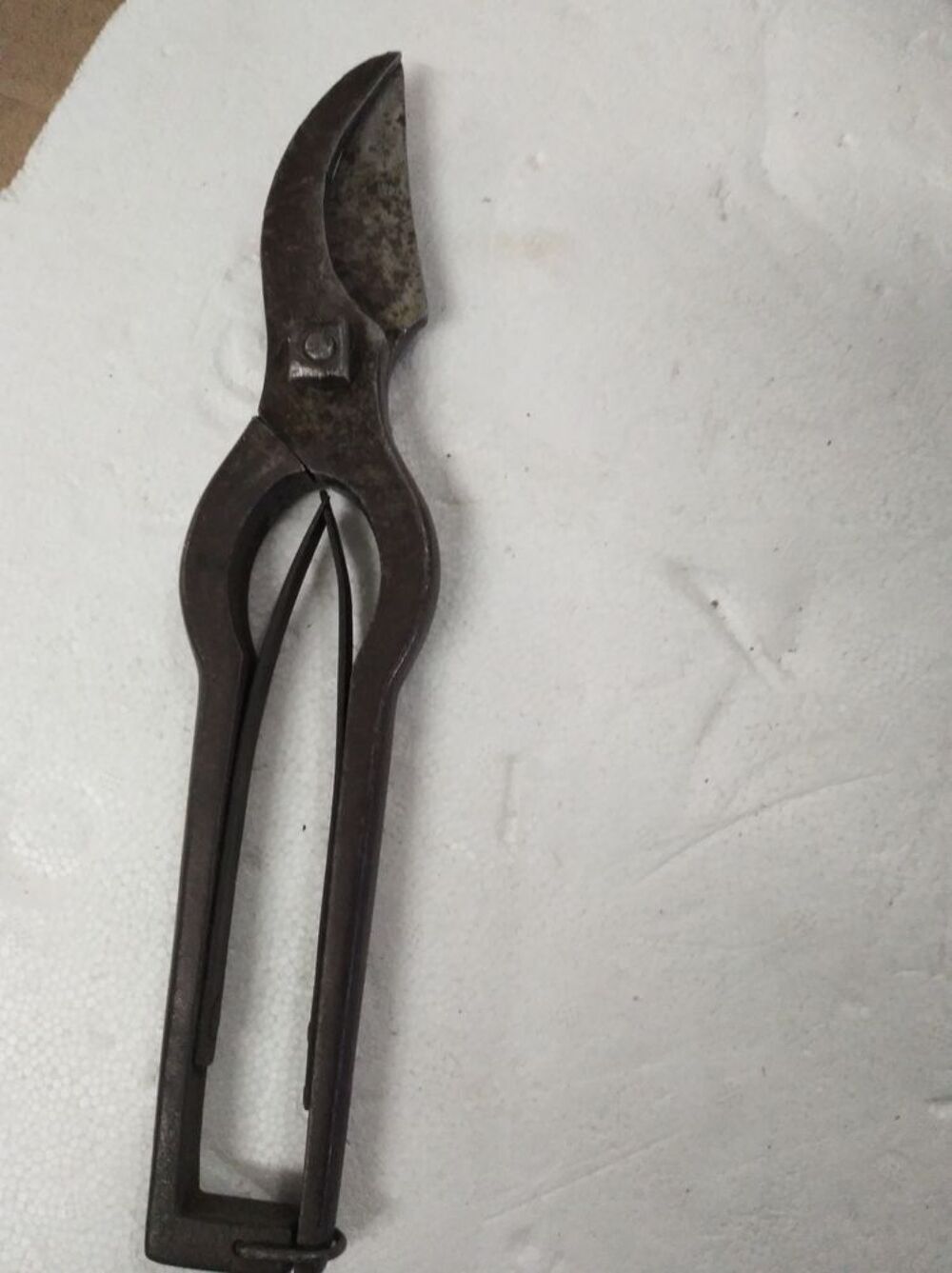 Cisaille coupe branches Bricolage