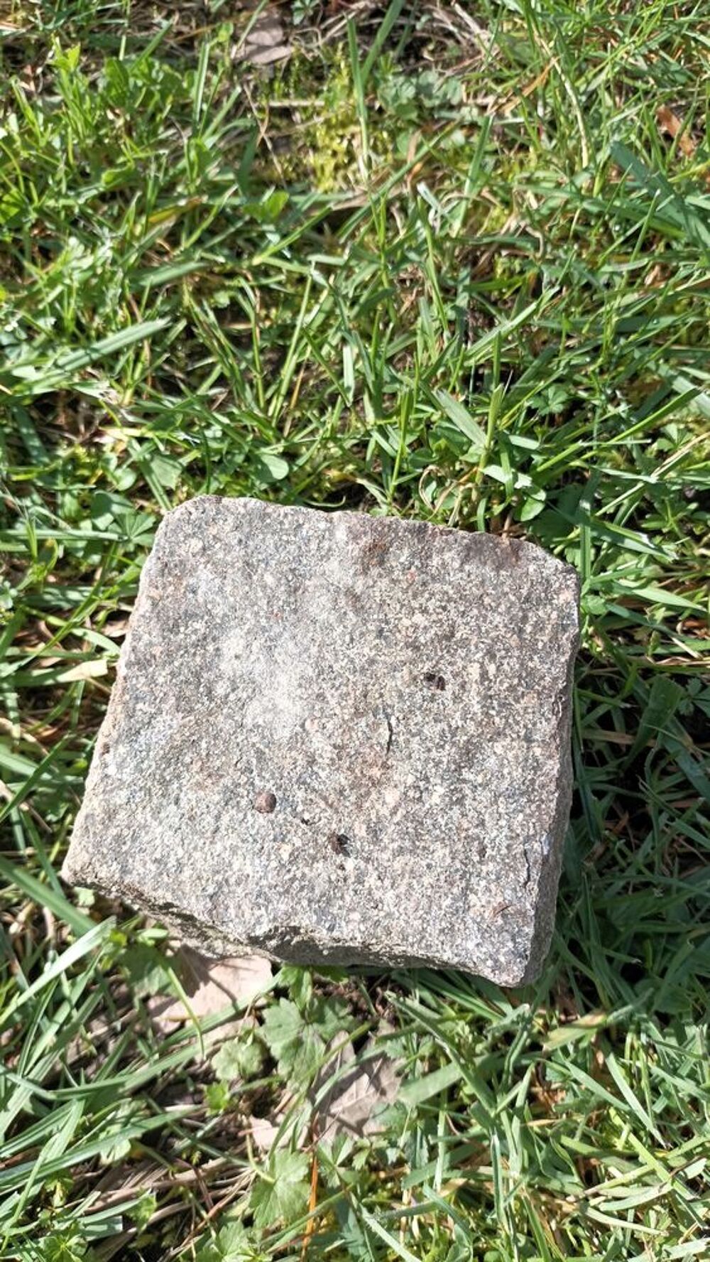 20 M2 Paves granit panache gris rouge amenagement jardin bri Jardin