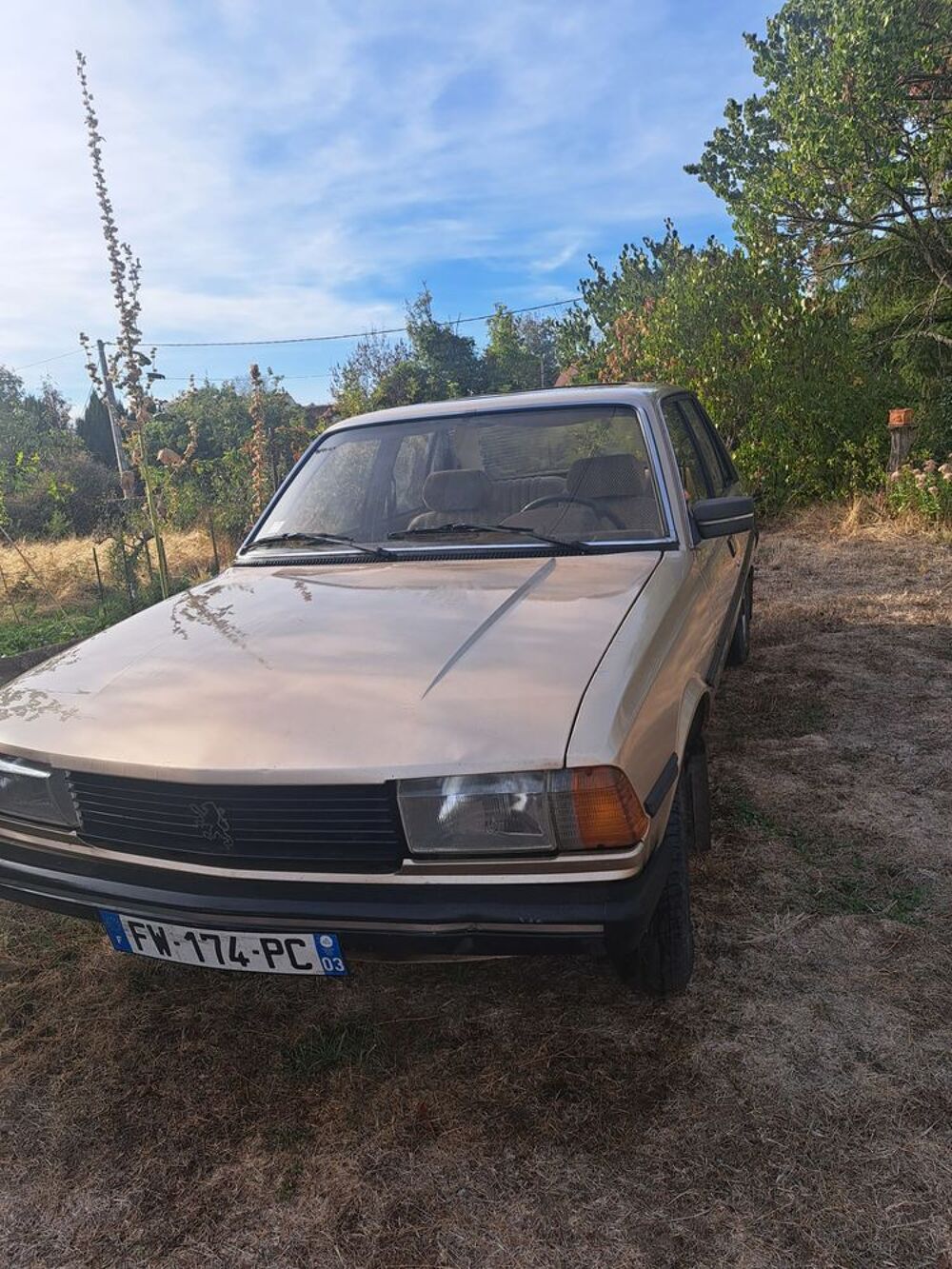  1982 occasion 03210 Ch&acirc;tillon