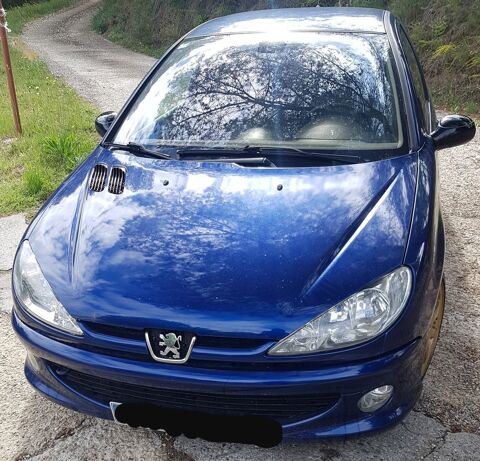Peugeot 206 2.0e 16V S16