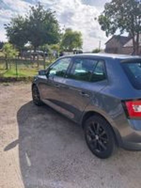 Fabia 1.2 TSI 90 ch Greentec Ambition 2014 occasion 61250 Damigny