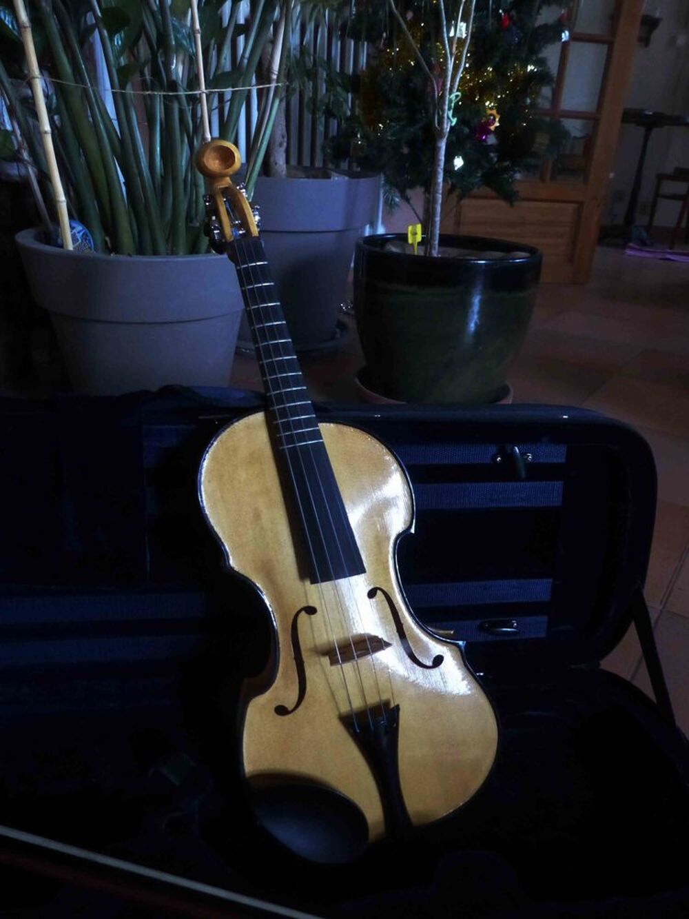 "NEOLIN 2010" Instruments de musique
