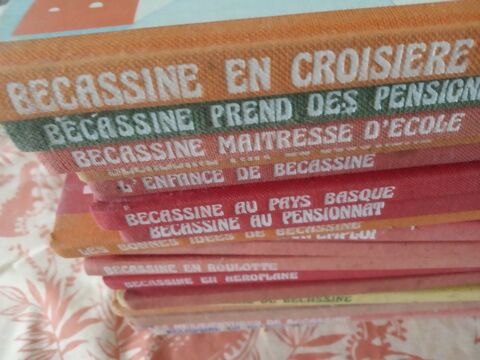 20 BD BECASSINNE Izon (33)