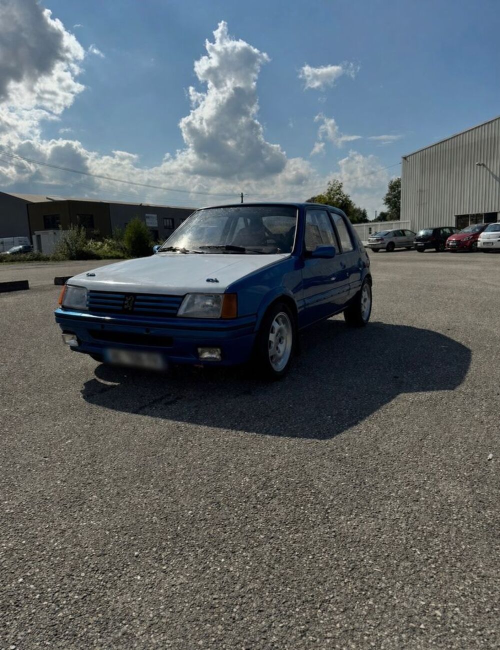 205 1.6 GTi 1984 occasion 38300 Bourgoin-Jallieu