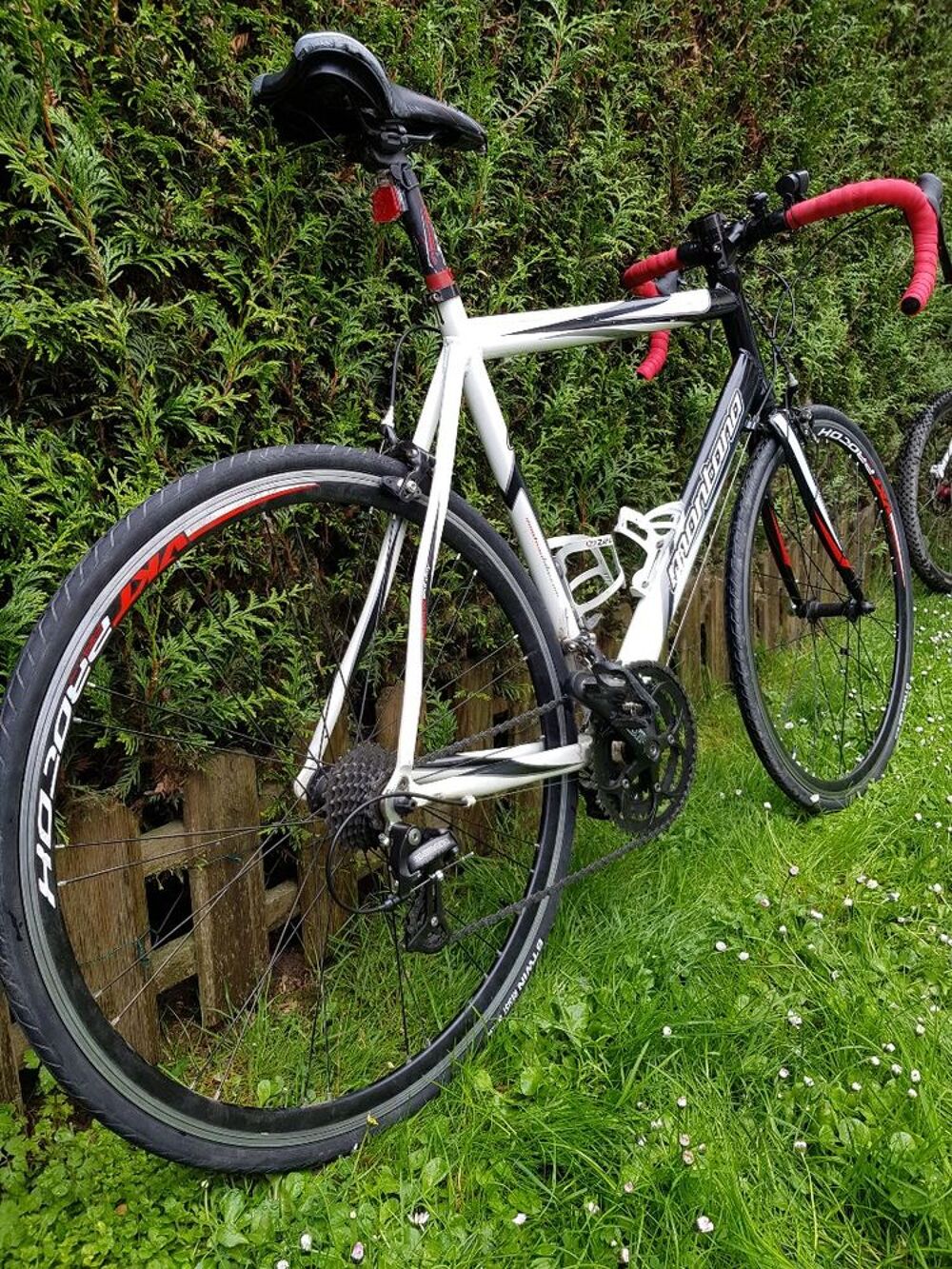 Montana velo hotsell