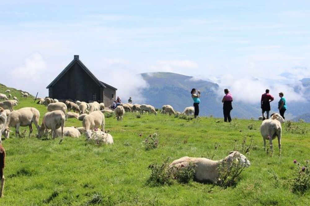   PYRENEES:Gite 4 places à 1450m 260€/S ,Boutx (31) Vacances  / Offres de location 