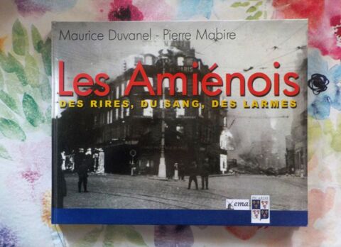 LES AMIENOIS T3 DES RIRES, DU SANG, DES LARMES  15 Bubry (56)