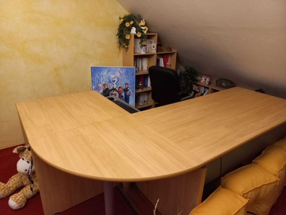 bureau de direction Meubles
