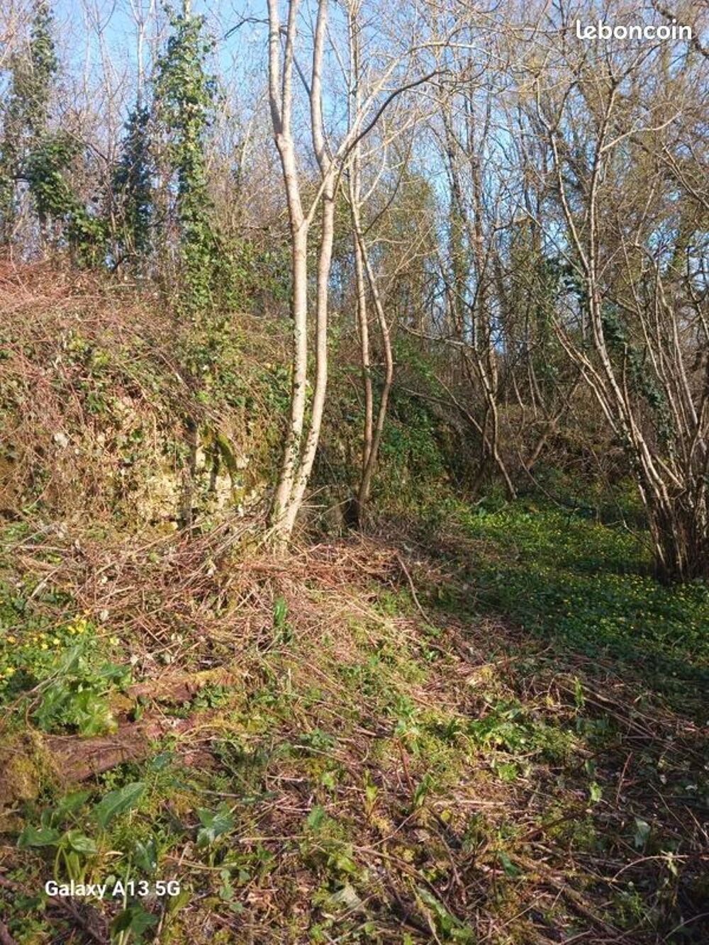 Vente Terrain AMOUREUX DE LA NATURE,
Terrain de loisirs Azay-le-brûlé
