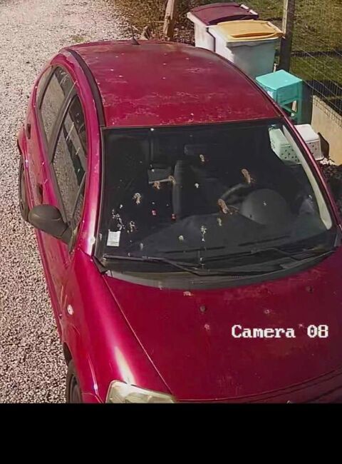 Citroen c3 Citro&euml;n  1.4 HDi 16V Pack Clim