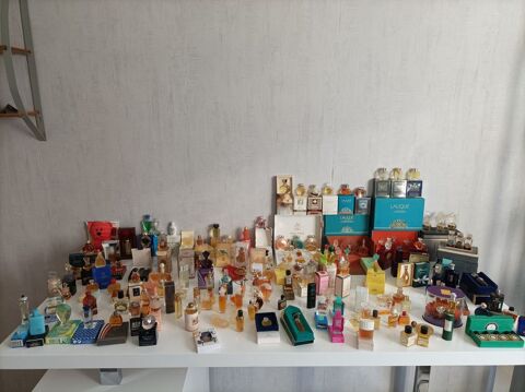 Collection de miniatures de Parfum 190 pièces 950 Écurcey (25)