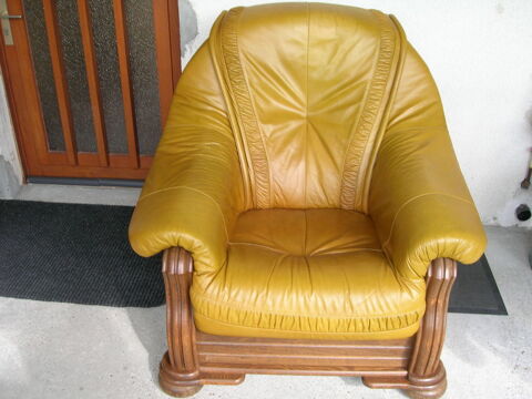 Fauteuil cuir 45 Étauliers (33)