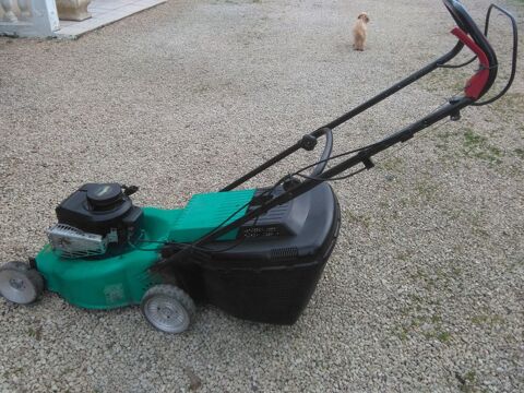 tondeuse à gazon non tractèe honda 100 Ouzilly (86)