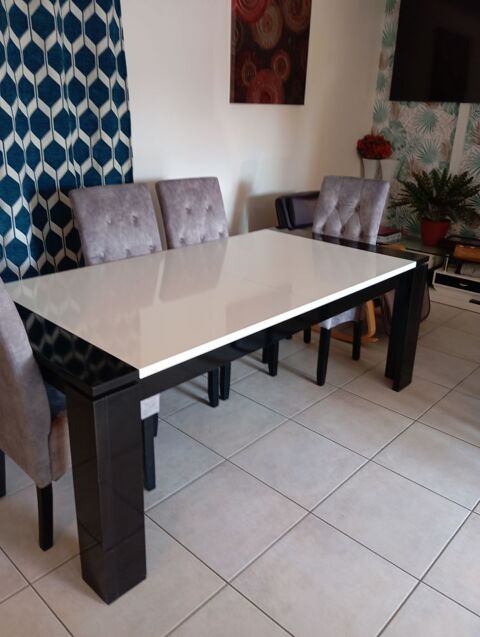 Table   manger 290 Neuvic (24)