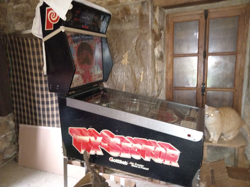 FLIPPER de COLLECTION GOTTLIEB TX-SECTOR sorti en MARS 1988 