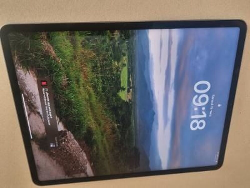 iPad pro Tlphones et tablettes