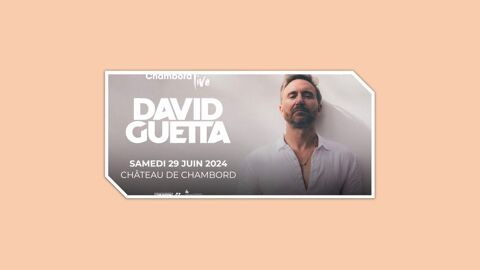 david chambord guetta concert juin 300 Paris 1 (75)