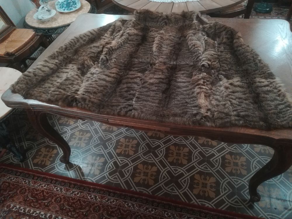 Fourrure Vêtements
